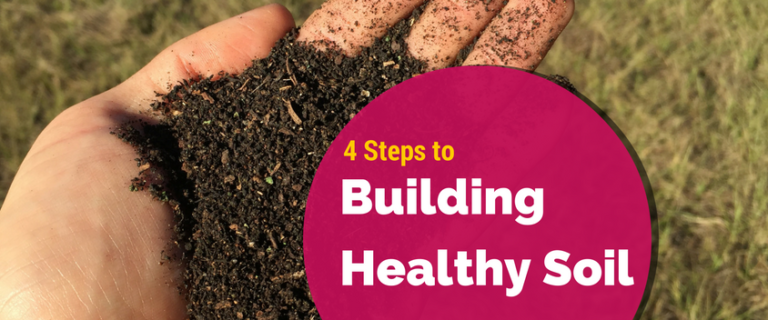 4 Steps To Building Healthy Soil - Homegrown Liberty